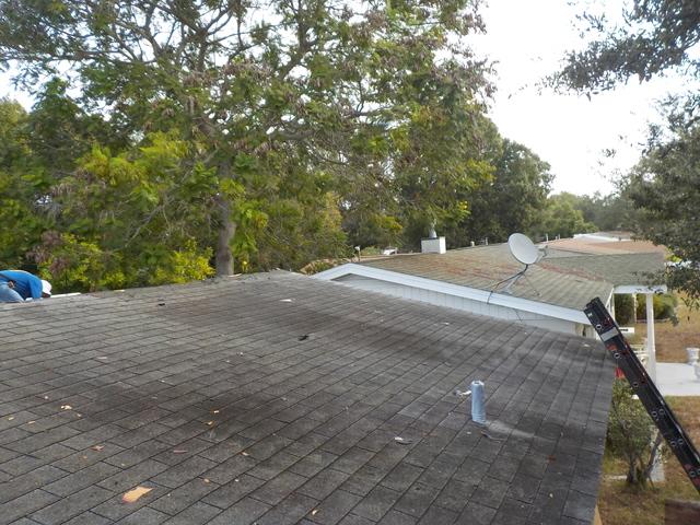 Shingle Roof Replacement in St. Petersburg, FL