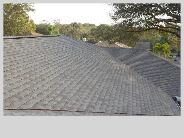 Shingle Roof Replacement in Palm Harbor, FL