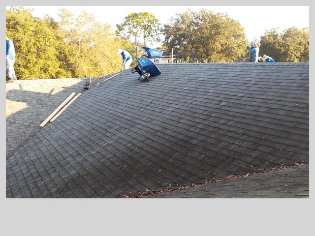 Shingle Roof Replacement in Palm Harbor, FL
