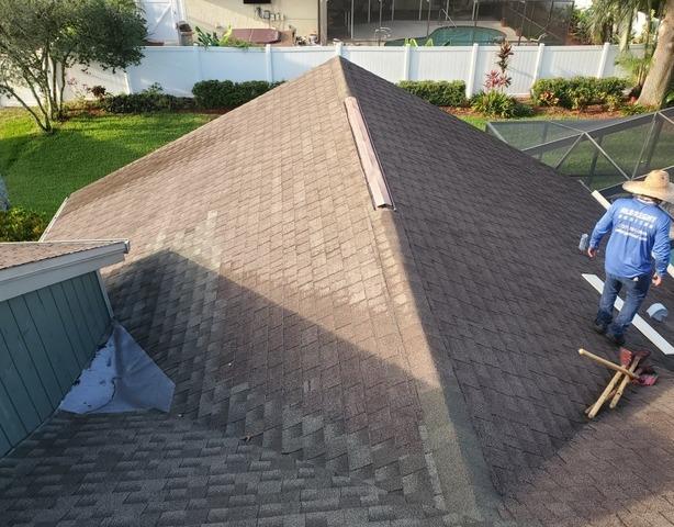 Shingle Roof Replacement in Palm Harbor