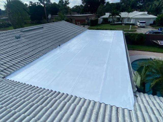 Flat Roof- Silicone Coating
