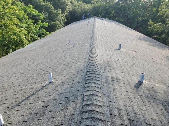 Shingle Roof- Clearwater, FL
